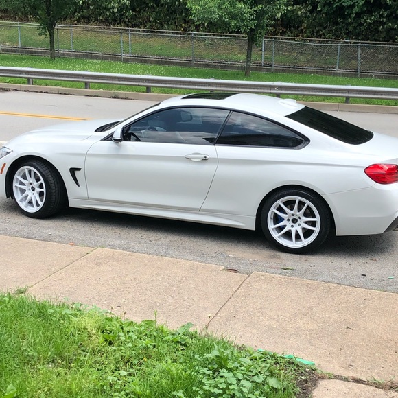 Meet your Posher, Alana - Picture 2 of 4